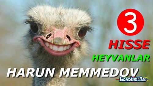 Harun Memmedov - Heyvanlar 3