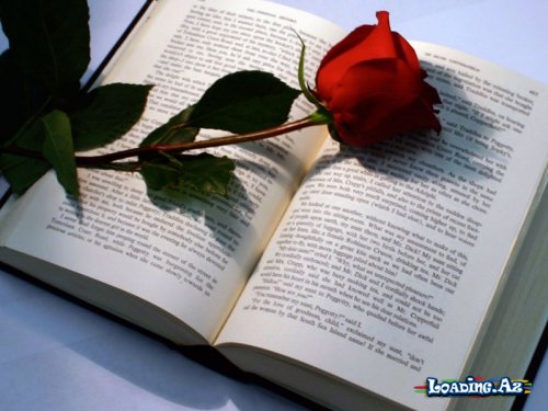 Təsirli bir hekayə - Take.Az