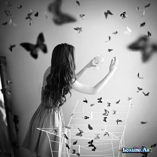 Kelebeğin Umudu (4.Bölüm)