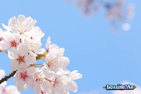 Həftənin ilk iş günü üçün hava proqnozu açıqlanıb