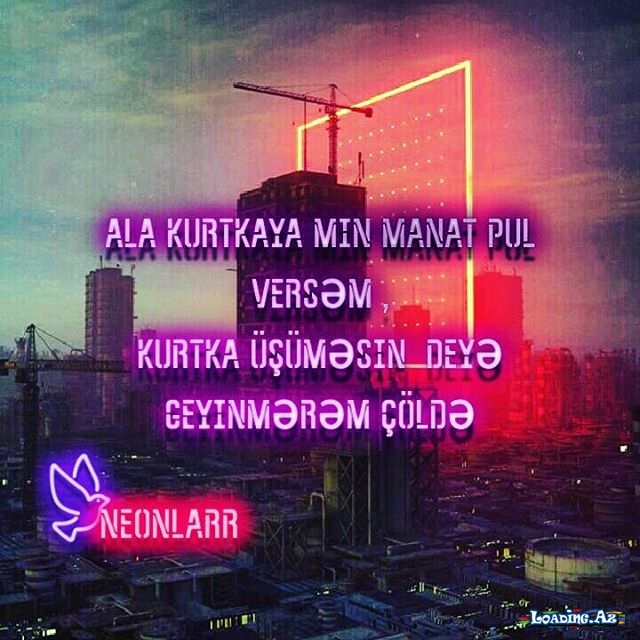 Photo(Neon)