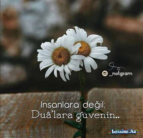 "Gözəl Dini Kəlamlar"👈