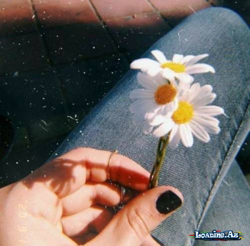♥PaPaTyA♥