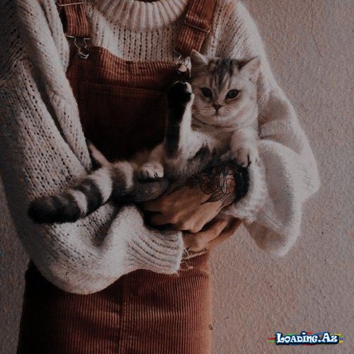 Qarışığ olsunღ[10]