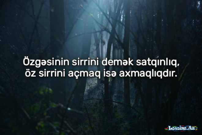 Məni bir mən bilirəm, bir də yaradan. Mənə bir mən lazımam, bir də anlayan.