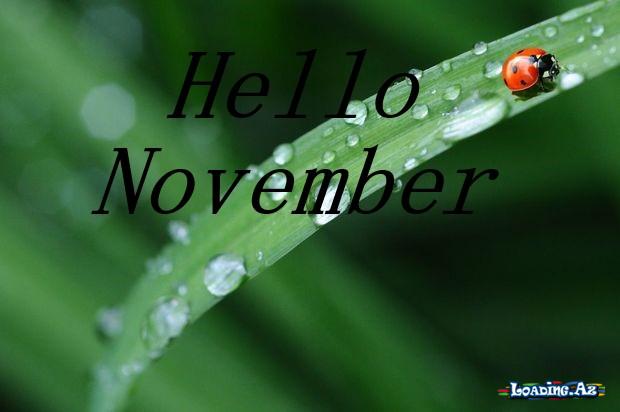 Salam Noyabr🍁🍂