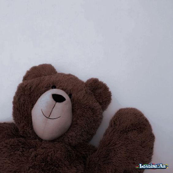 🧸Ayı🧸