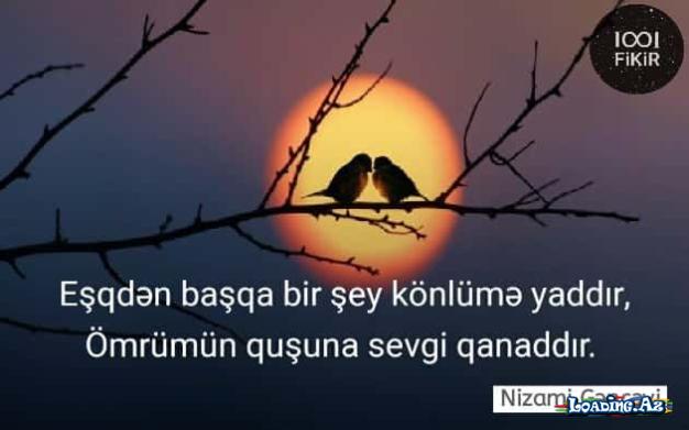 Sevgi Sözləri