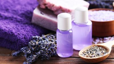 Lavanda