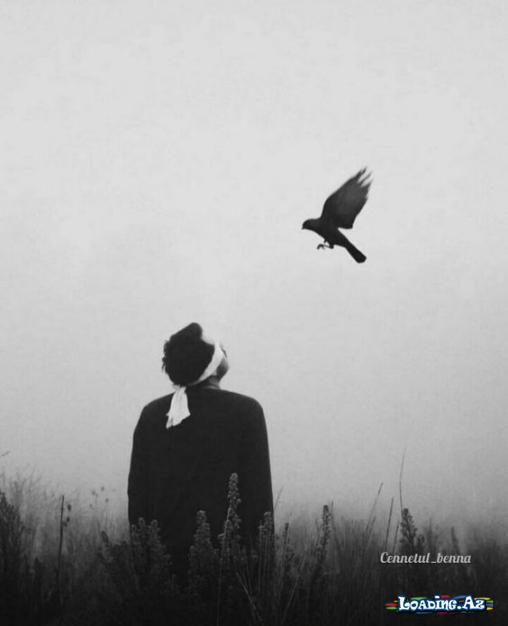 Eşq bəzən əsla sahib ola bilməyəcəyin birini sevməkdir.