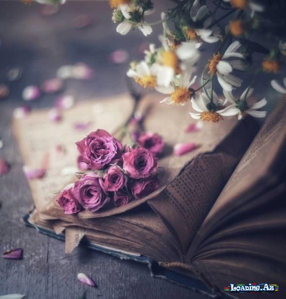 Mən saflığıma əsəbləşdim