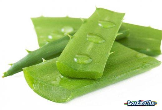 Aloe bitkisinin bilmədiyiniz faydaları