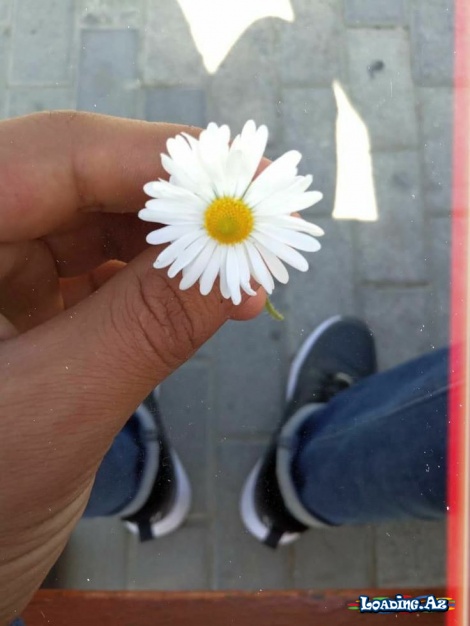 Kaşki səbrim qədər,şansımda olsaydı