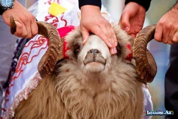 Müqəddəs Qurban Bayramı - unudulmayan mənəvi miras