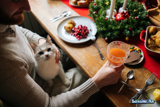 Dietoloqdan Yeni il üçün MƏSLƏHƏTLƏR – Bunu etməyin - Take.Az