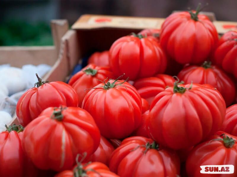 Pomidoru zeytunla qatıb saçınıza çəkin, görün nə olur - Take.Az