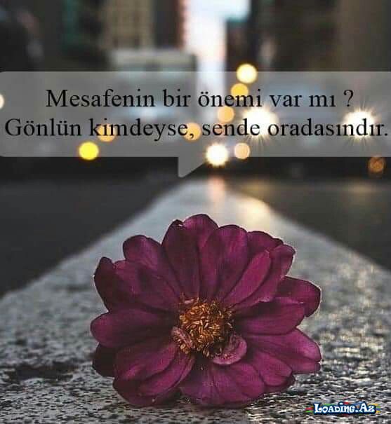 Ben şair değilim belki ama Sen başlı başına bir şiirsin...