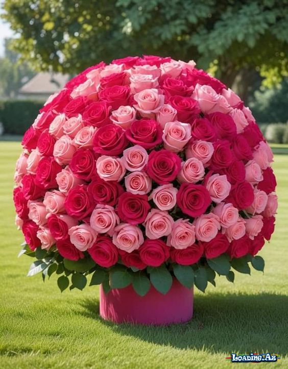 çiçəklər🌺🌷 (3)