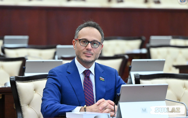 Deputat: "Qərb Gürcüstanda hakimiyyəti dəyişmək üçün konkret ssenari hazırlayıb"