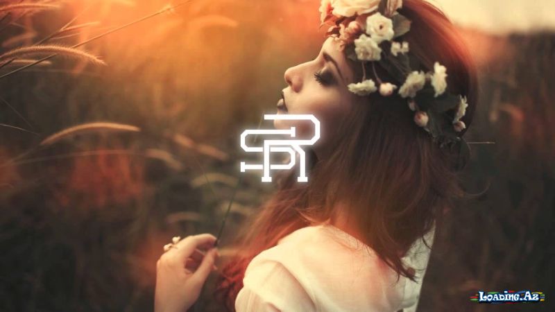 Night Lovell - Material Female