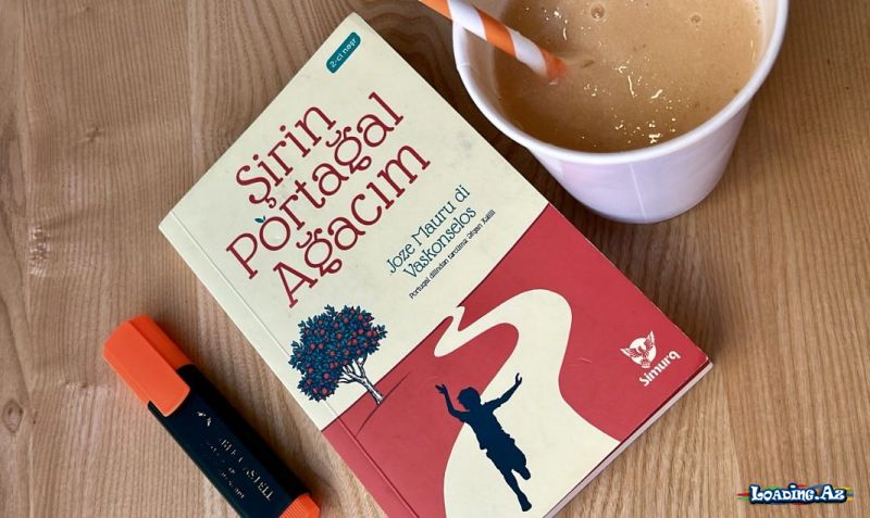 Joze Mauru di Vaskonselosun “Şirin Portağal Ağacım” əsərindən seçdiyim sətirlər - Take.Az