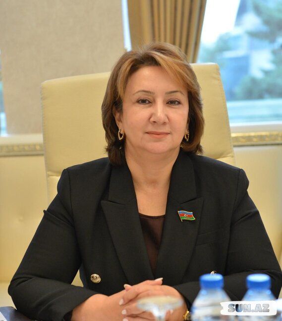 "Şimali Makedoniya-Azərbaycan iqtisadi əlaqələri üçün geniş imkanlar mövcuddur"