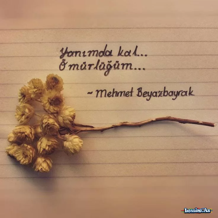 Yanımda kal ömürlüğüm