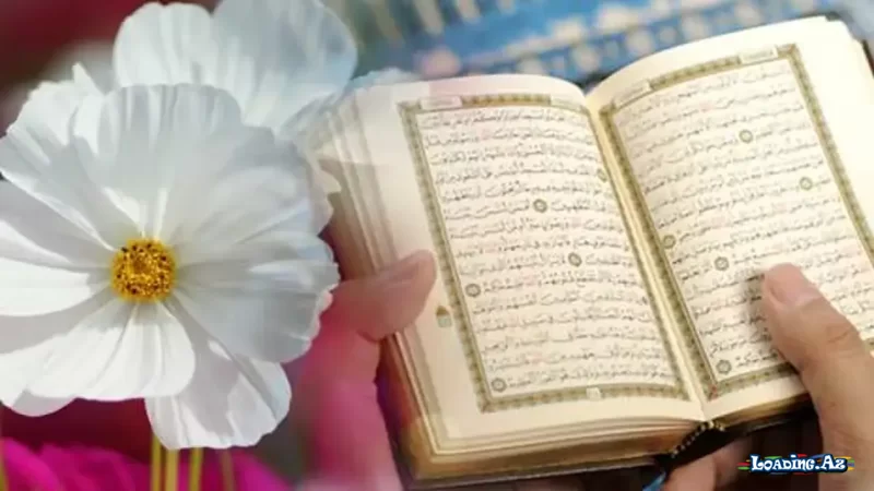 Qurandan dualar