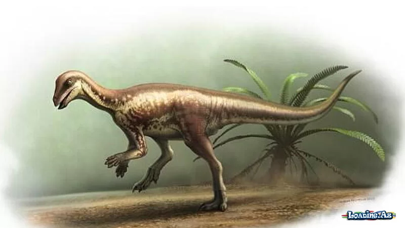 Sirli qaçan dinozavr Yura dövrünün başqa bir sirrini açdı - Take.Az