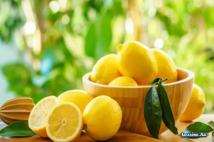 Qoxuya qarşı mübarizə: Bir neçə damcı limon suyu yox edir - Take.Az