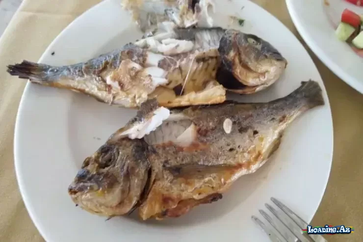 Balığı sobaya qoymazdan əvvəl qazlı içki ilə isladın - xırtıldayan qabığın sirri - Take.Az