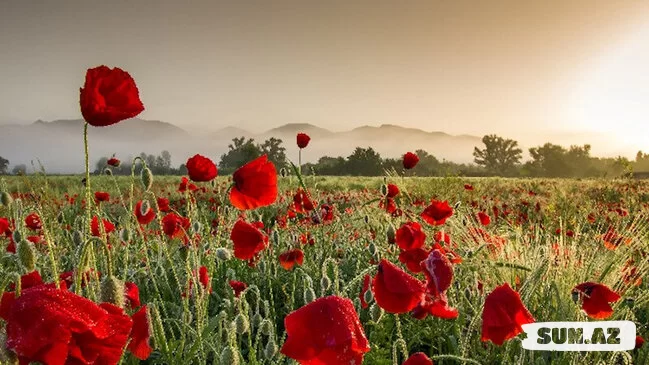 Aprel ayında hava necə olacaq?