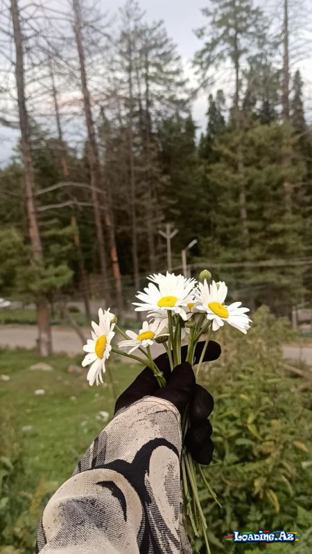 Hər kəsin baharı fərqli zamanda çiçək açır🌹 - Take.Az