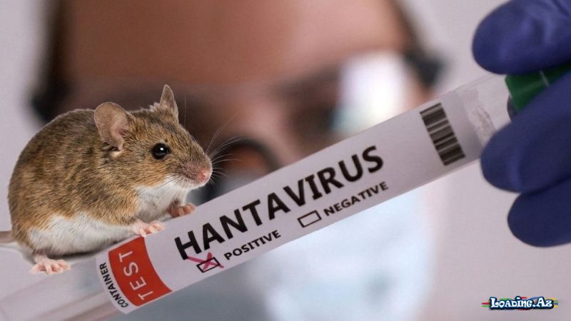 Hantavirusa görə 41 nəfər müşahidə altındadır - Take.Az