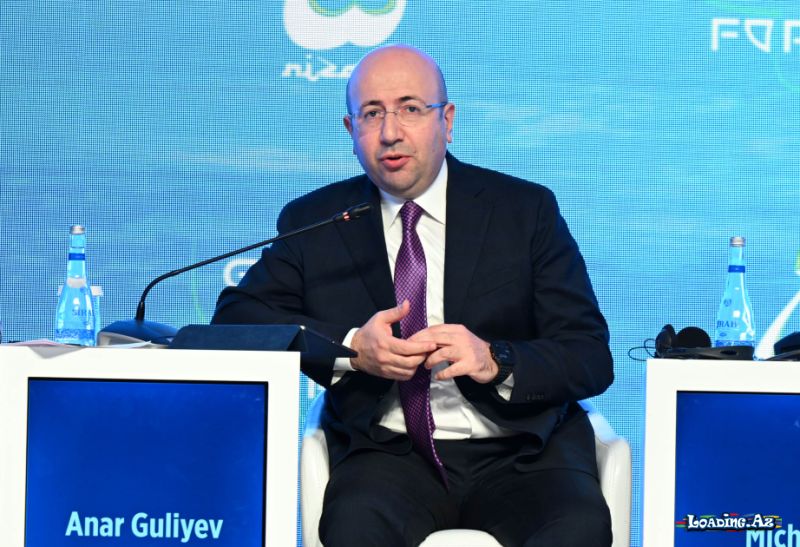 Bərpa olunan enerjinin payı 38 %-ə çatdırılacaq - Anar Quliyev - Take.Az