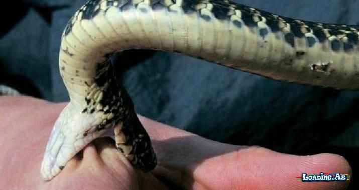 Ağdamda 68 yaşlı qadını ilan sancdı - Take.Az