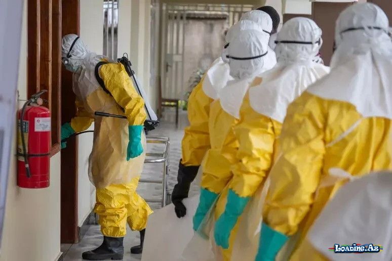 Braziliyada Ebola virusuna şübhəli yoluxma - Take.Az