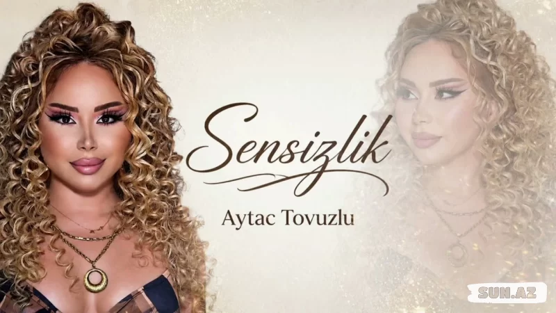 Aytac  Tovuzlu-Sənsizlik     2026 - Take.Az