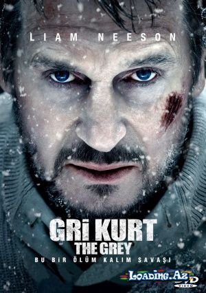 The Grey (Gri Kurt) - Take.Az
