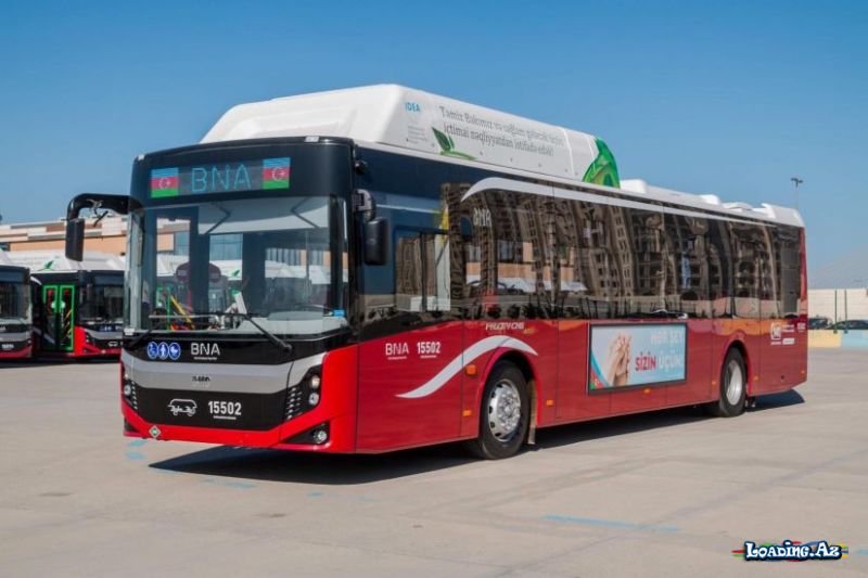 Bakıda bu istiqamətdə pulsuz avtobus fəaliyyətə başladı - Take.Az