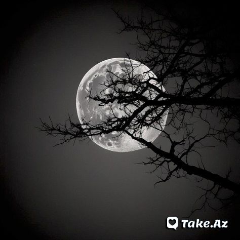 Nakam ümüdlər ürəyin qəm çəkir ətrafına - Take.Az