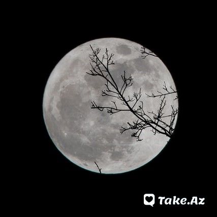 Cananın üzün görsə olar bəxtəvər aşiq) - Take.Az