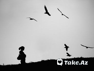 Aforizmlər (lll) - Take.Az
