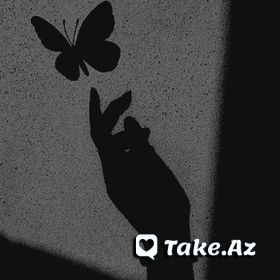 Aforizmlər (V) - Take.Az