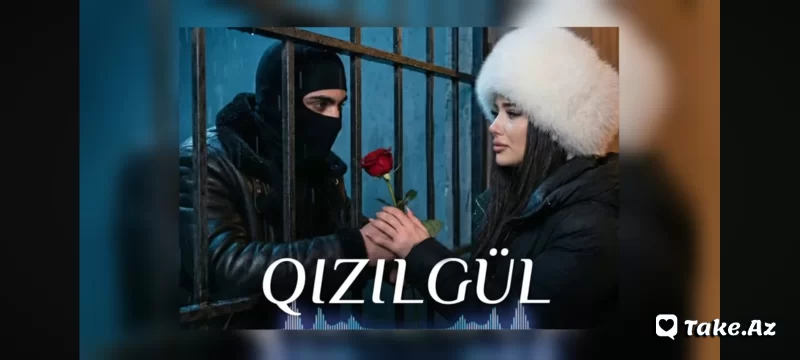 Qızıl gül - Take.Az