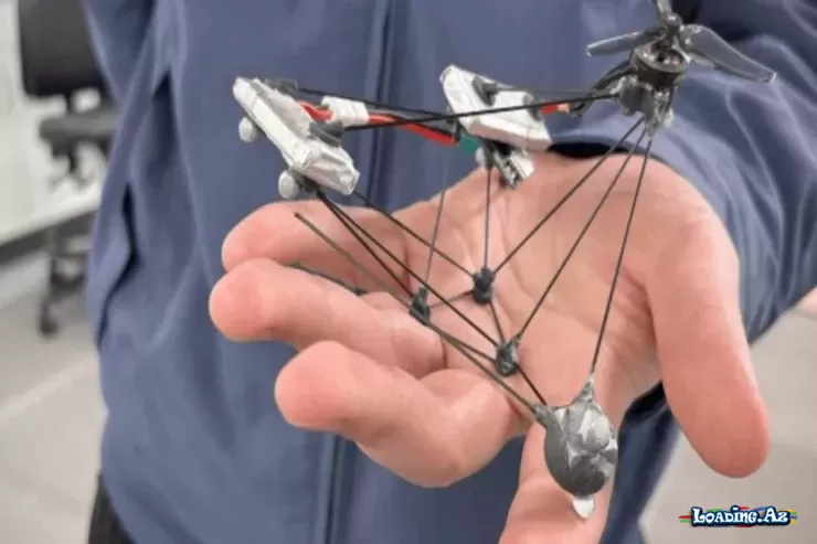 Alimlər demək olar ki, görünməz dron yaratdılar: sirri nədir? - Take.Az